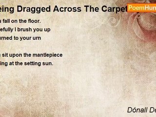 Dónall Dempsey - Being Dragged Across The Carpet By The Cat - A Tanka