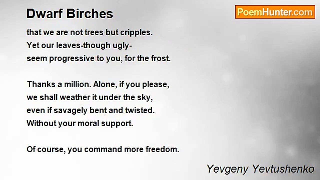 Yevgeny Yevtushenko - Dwarf Birches