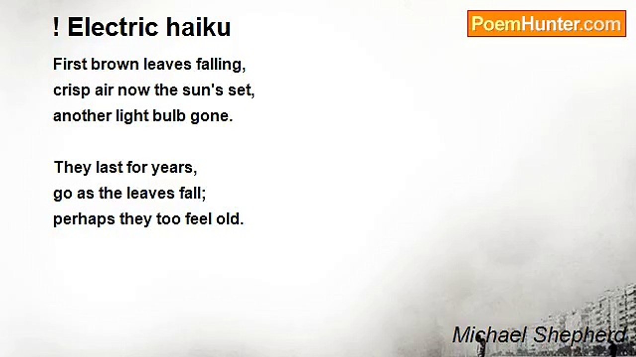 Michael Shepherd - ! Electric haiku