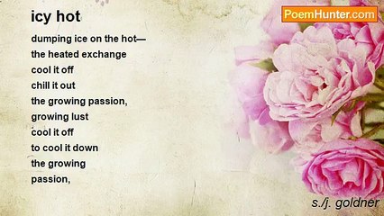 s./j. goldner - icy hot