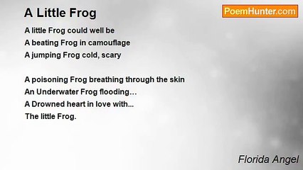 Florida Angel - A Little Frog