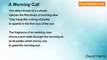 David Harris - A Morning Call