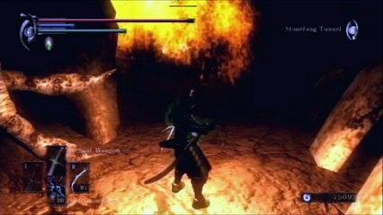 Demon's Souls Wanderer Walkthrough Part 20 (HD)
