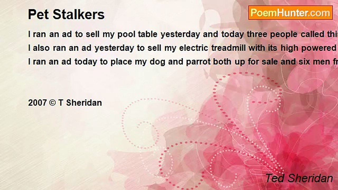 Ted Sheridan - Pet Stalkers