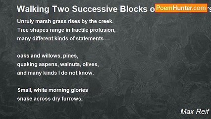 Max Reif - Walking Two Successive Blocks of the Iron Horse Trail