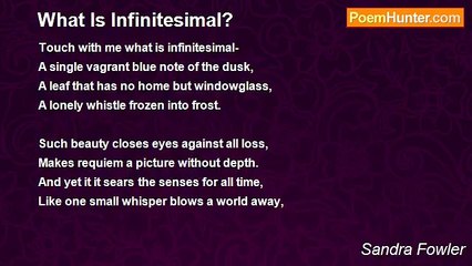 Sandra Fowler - What Is Infinitesimal?