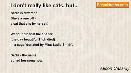Alison Cassidy - I don't really like cats, but...