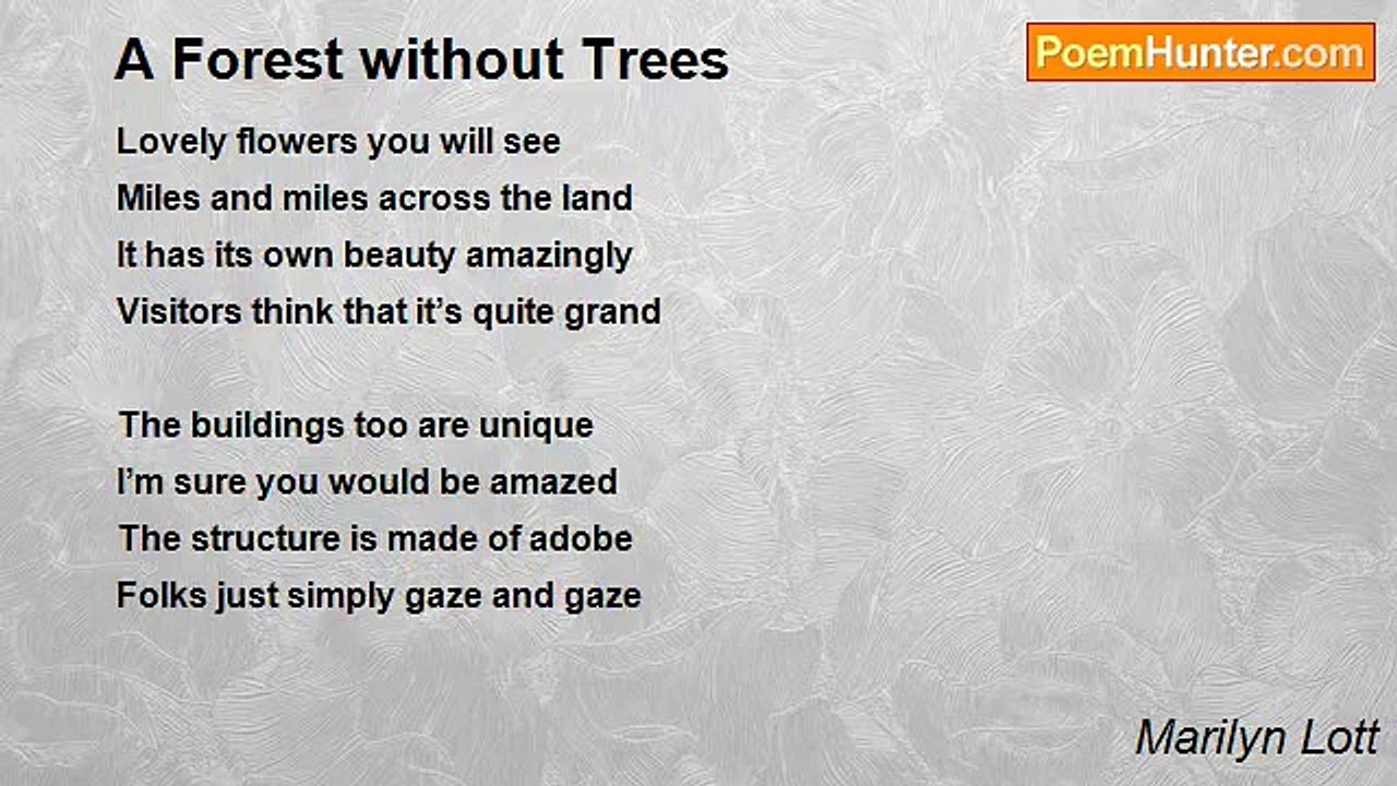 Marilyn Lott - A Forest without Trees