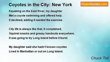 Chuck Toll - Coyotes in the City: New York