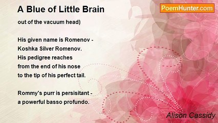 Alison Cassidy - A Blue of Little Brain