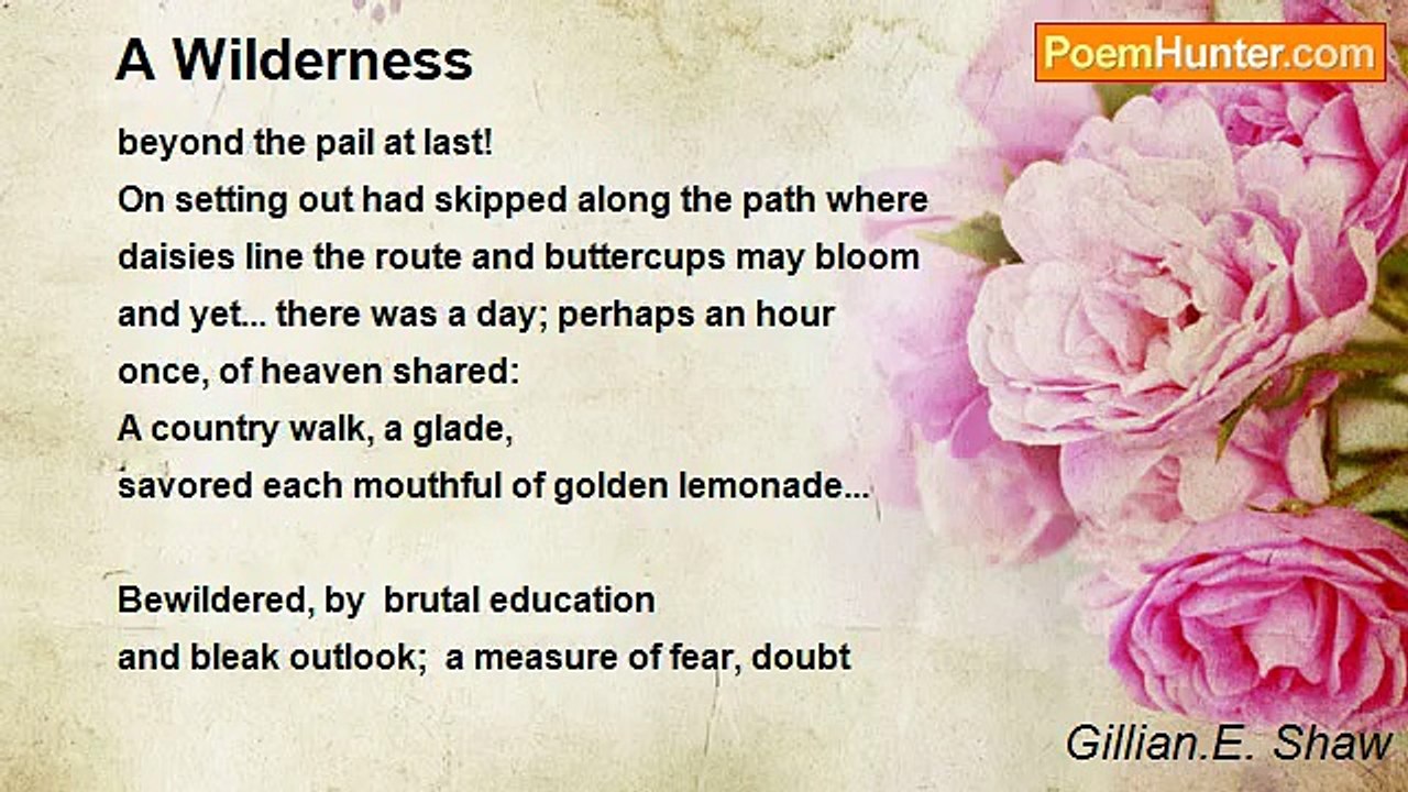 Gillian.E. Shaw - A Wilderness