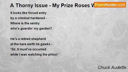 Chuck Audette - A Thorny Issue - My Prize Roses Were Stolen!