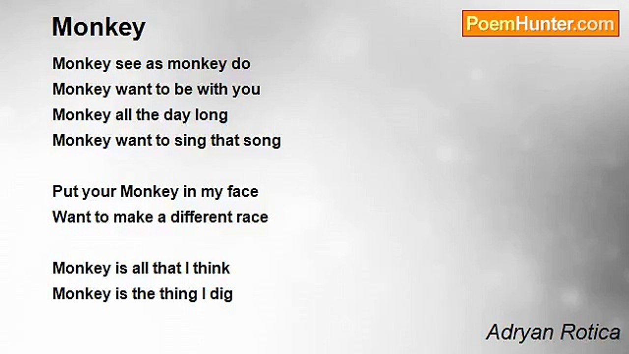Adryan Rotica - Monkey