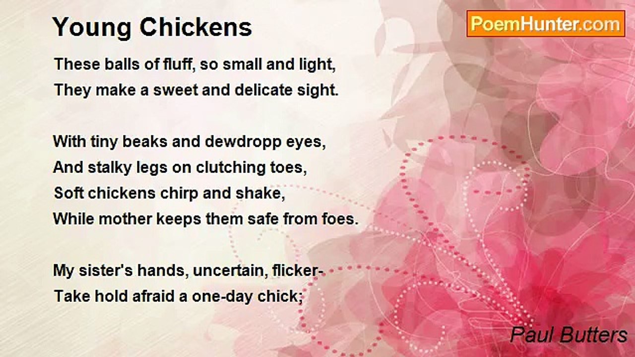 Paul Butters - Young Chickens