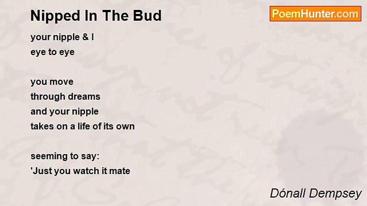 Dónall Dempsey - Nipped In The Bud