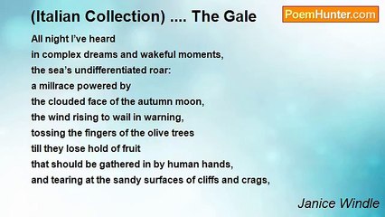 Janice Windle - (Italian Collection) .... The Gale
