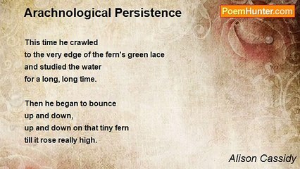 Alison Cassidy - Arachnological Persistence
