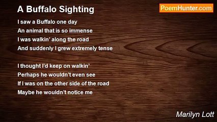 Marilyn Lott - A Buffalo Sighting