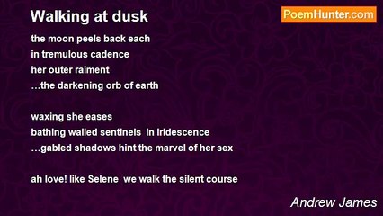 Andrew James - Walking at dusk