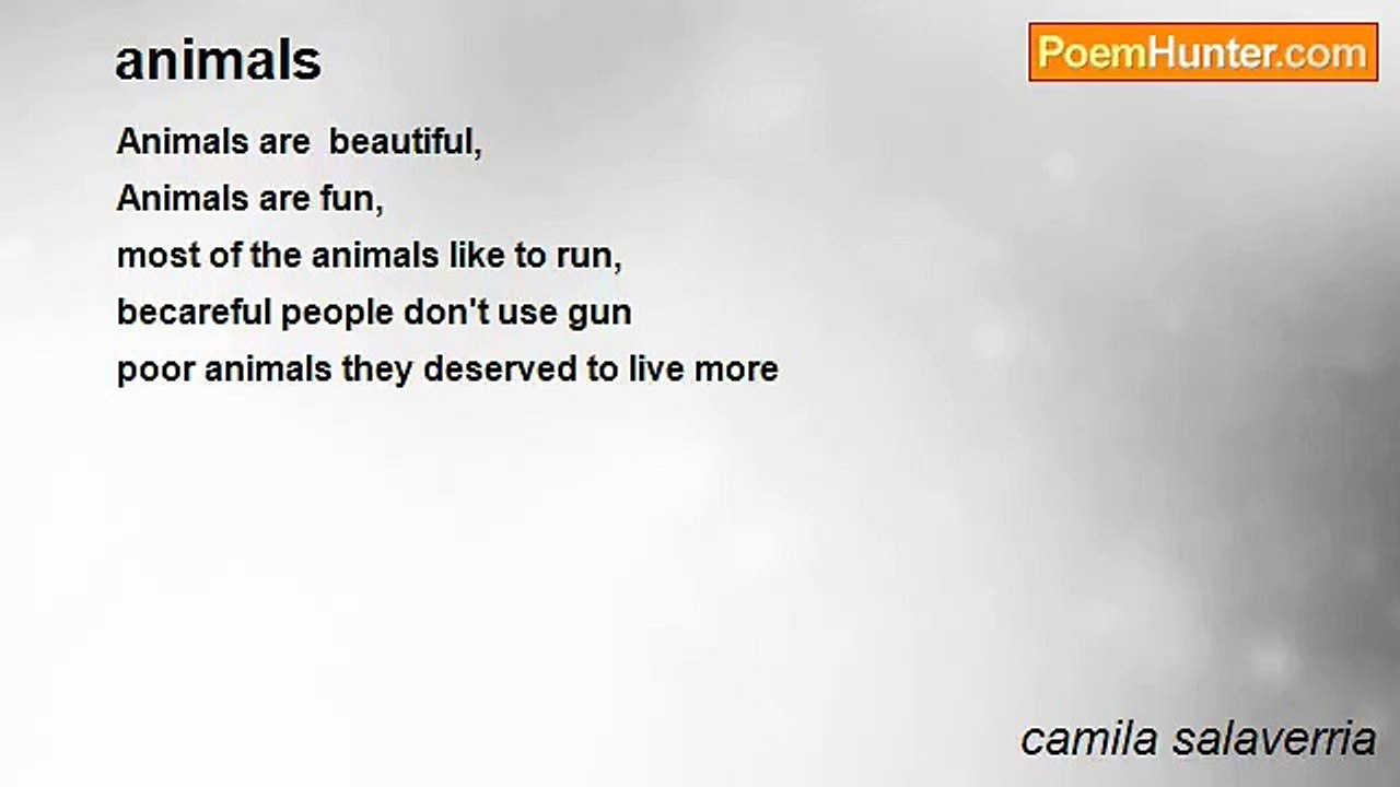 camila salaverria - animals