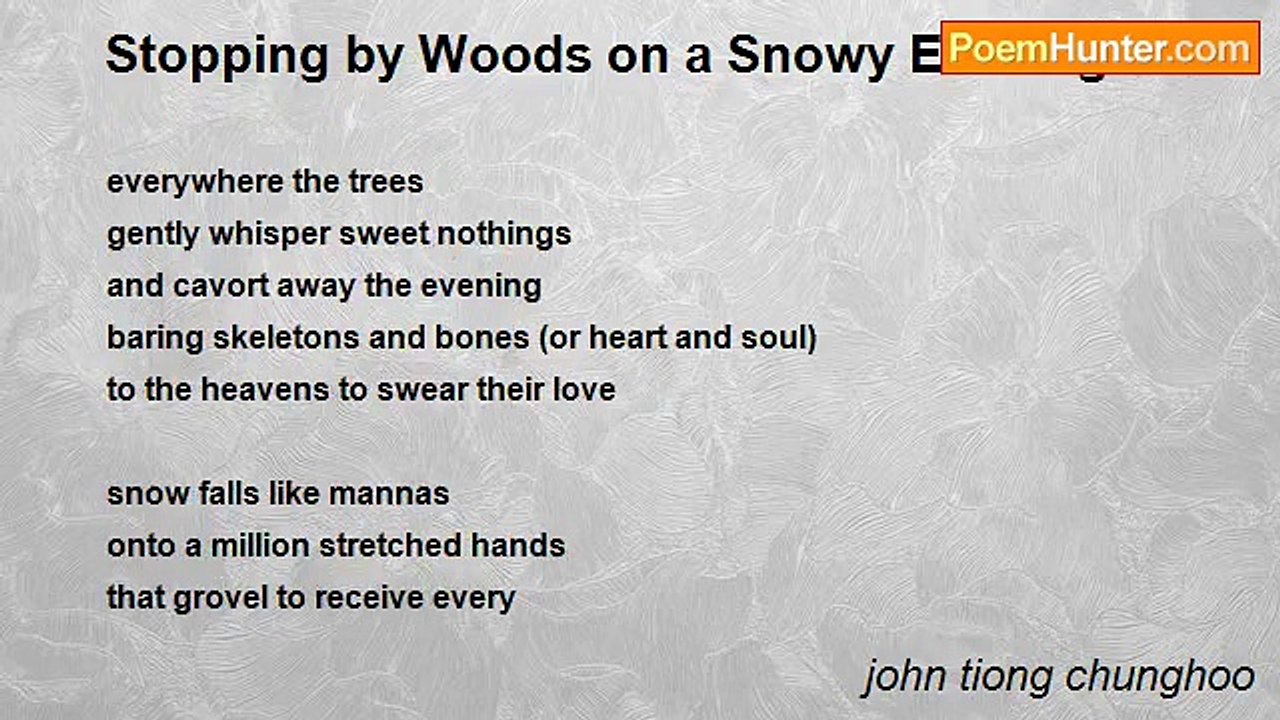 john tiong chunghoo - Stopping by Woods on a Snowy Evening