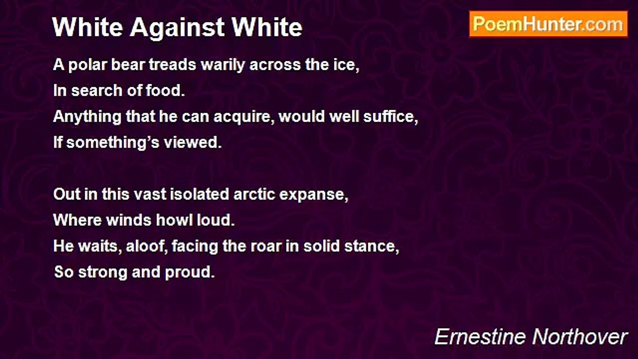 Ernestine Northover - White Against White
