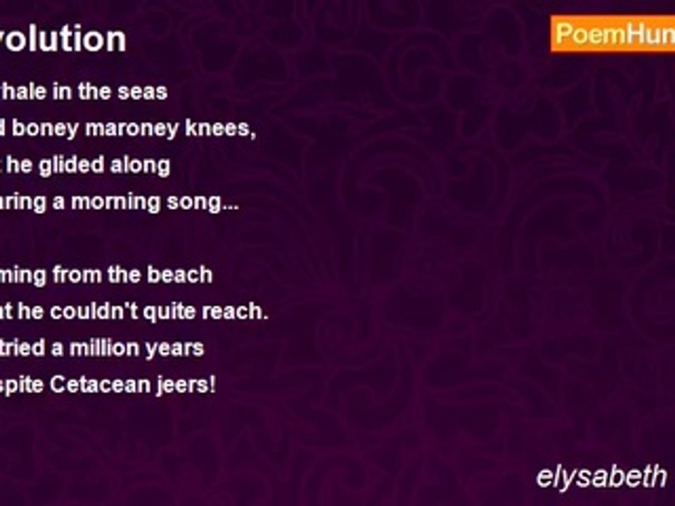 elysabeth faslund - Evolution
