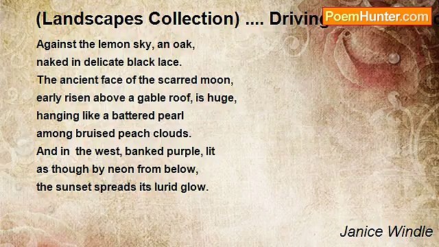 Janice Windle - (Landscapes Collection) .... Driving Home in December