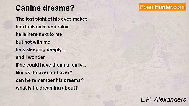 L.P. Alexanders - Canine dreams?