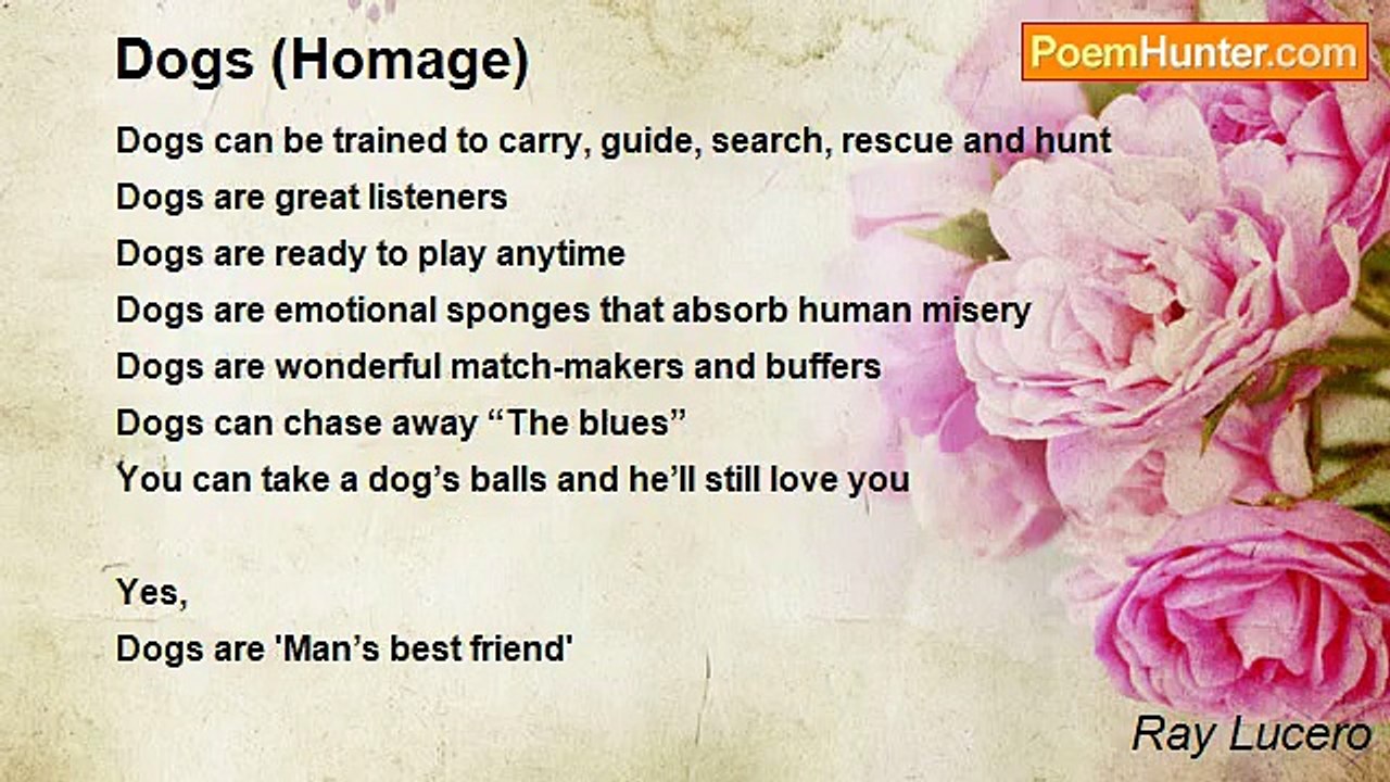 Ray Lucero - Dogs (Homage)