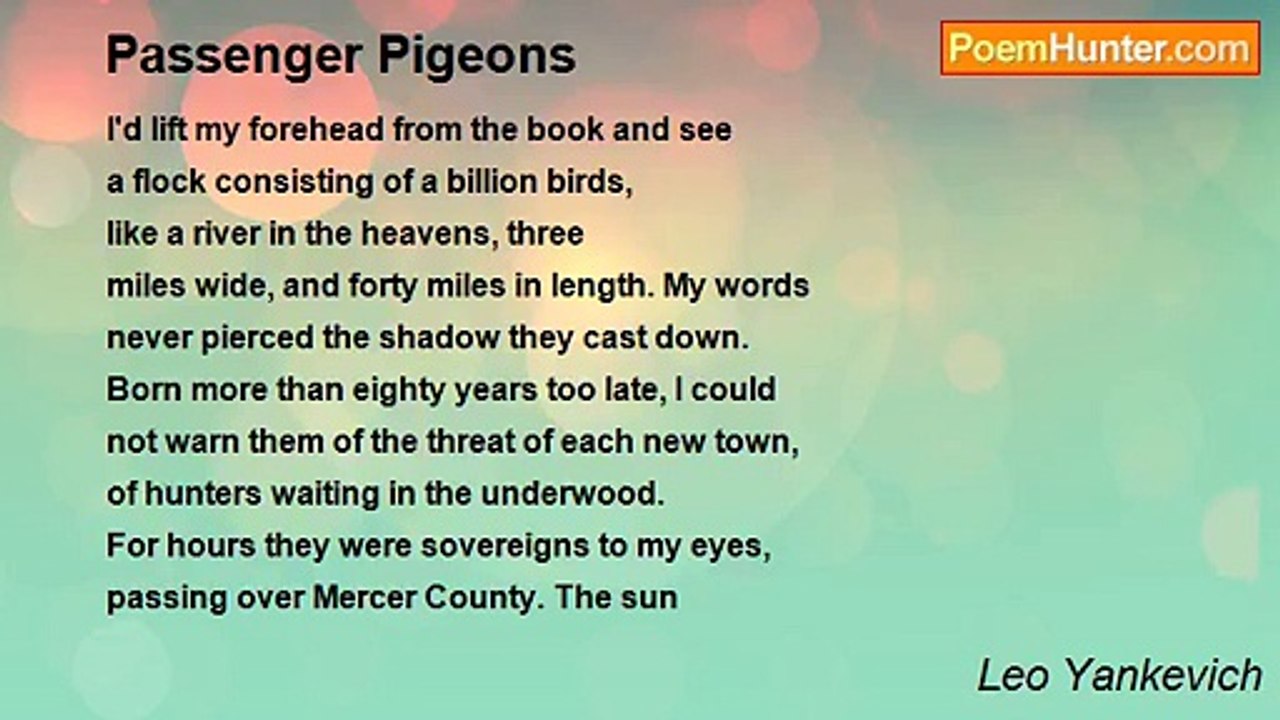 Leo Yankevich - Passenger Pigeons