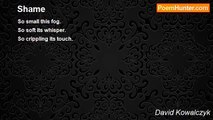 David Kowalczyk - Shame