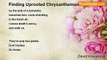 David Kowalczyk - Finding Uprooted Chrysanthemums