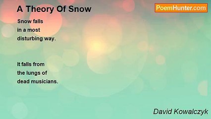 David Kowalczyk - A Theory Of Snow