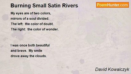 David Kowalczyk - Burning Small Satin Rivers