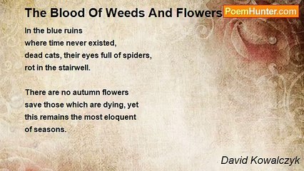 David Kowalczyk - The Blood Of Weeds And Flowers