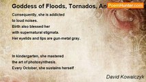 David Kowalczyk - Goddess of Floods, Tornados, And Earthquakes