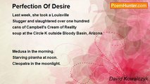 David Kowalczyk - Perfection Of Desire
