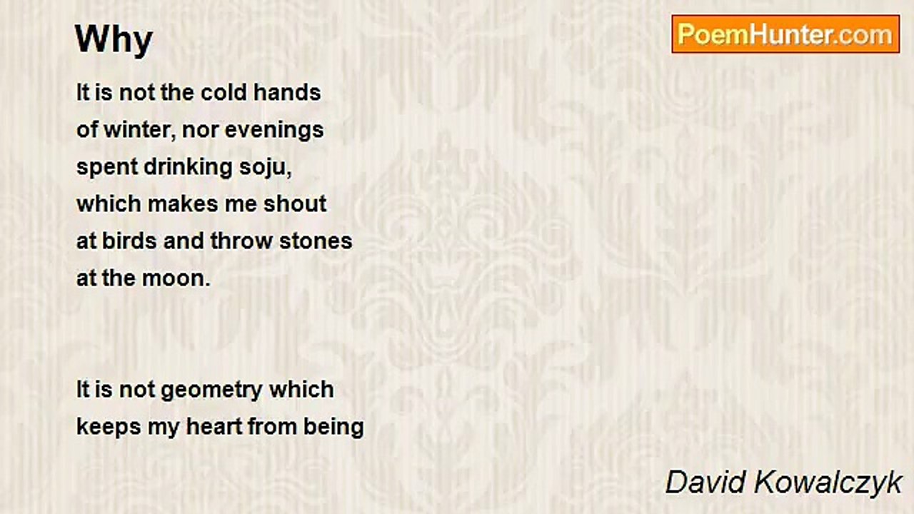 David Kowalczyk - Why