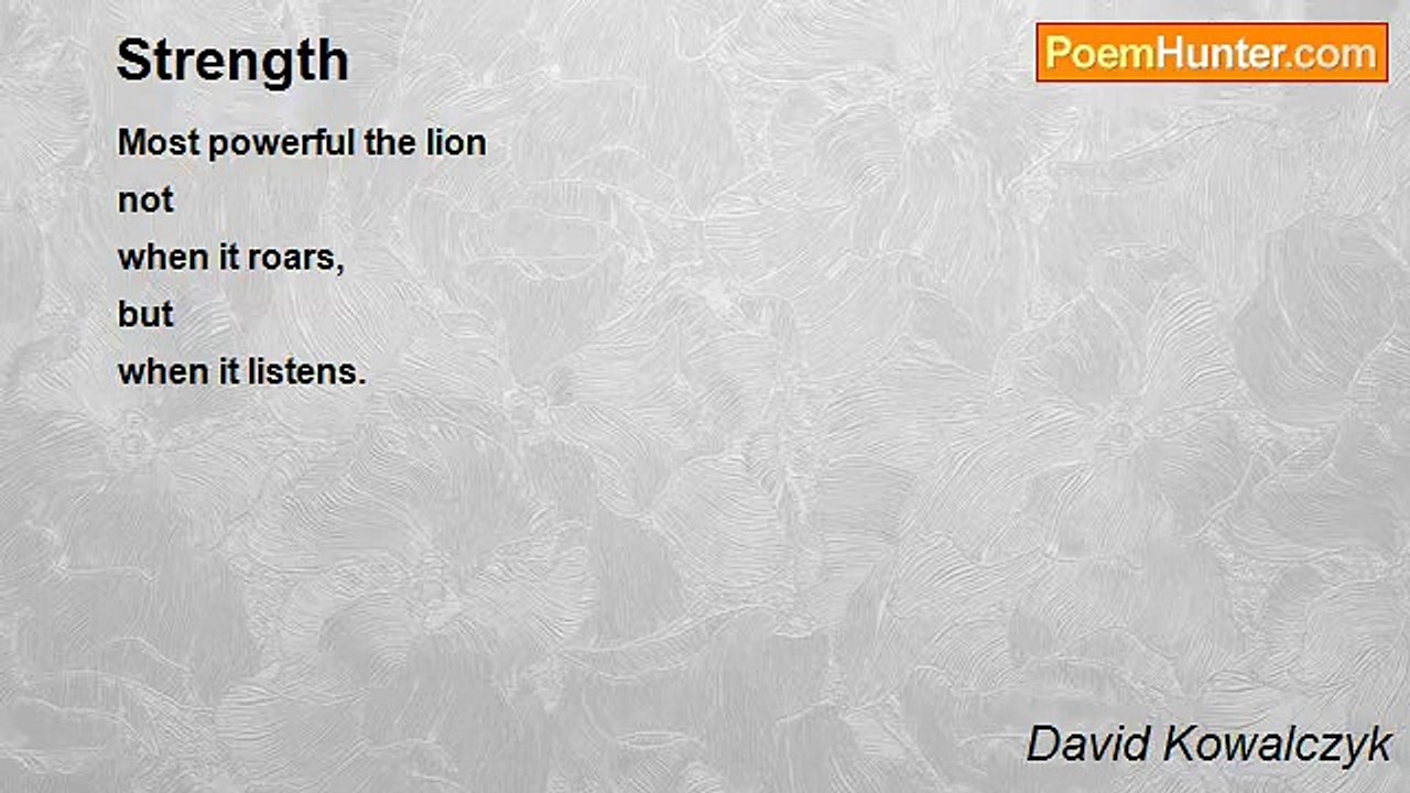 David Kowalczyk - Strength