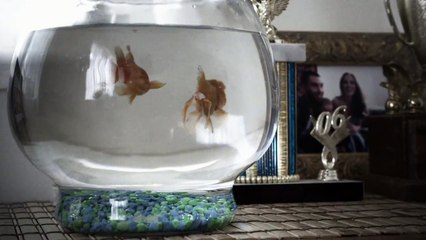 Maroon 5 - One More Night