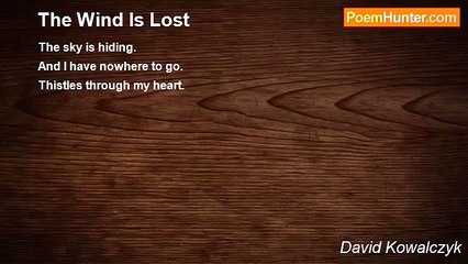 David Kowalczyk - The Wind Is Lost