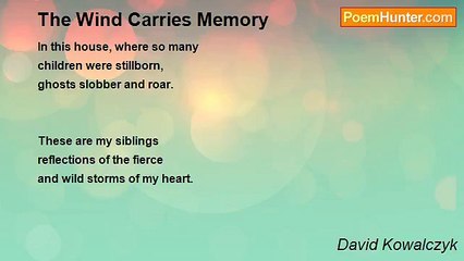 David Kowalczyk - The Wind Carries Memory