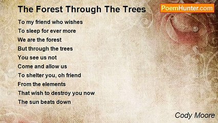 Cody Moore - The Forest Through The Trees