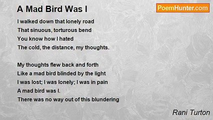 Rani Turton - A Mad Bird Was I