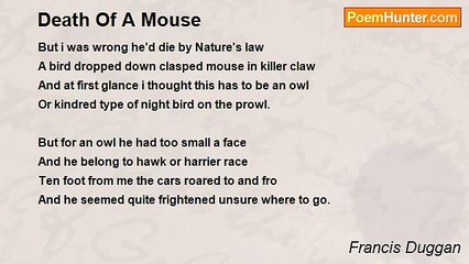 Francis Duggan - Death Of A Mouse
