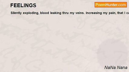 NaNa Nana - FEELINGS