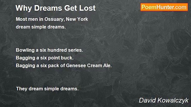 David Kowalczyk - Why Dreams Get Lost