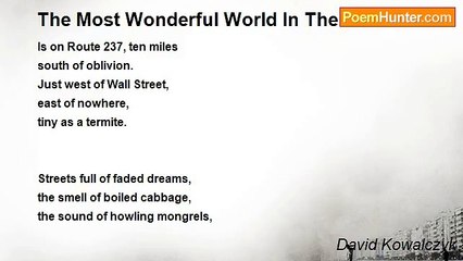 David Kowalczyk - The Most Wonderful World In The World