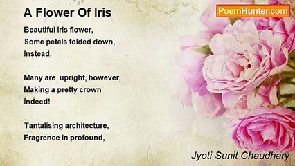 Jyoti Sunit Chaudhary - A Flower Of Iris